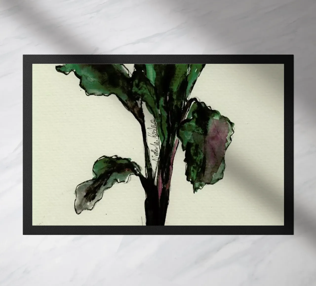 Beetroot zerbino da Nathys_illustration