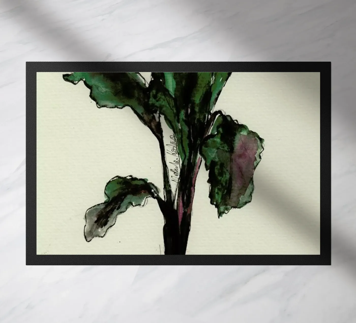 Beetroot zerbino da Nathys_illustration