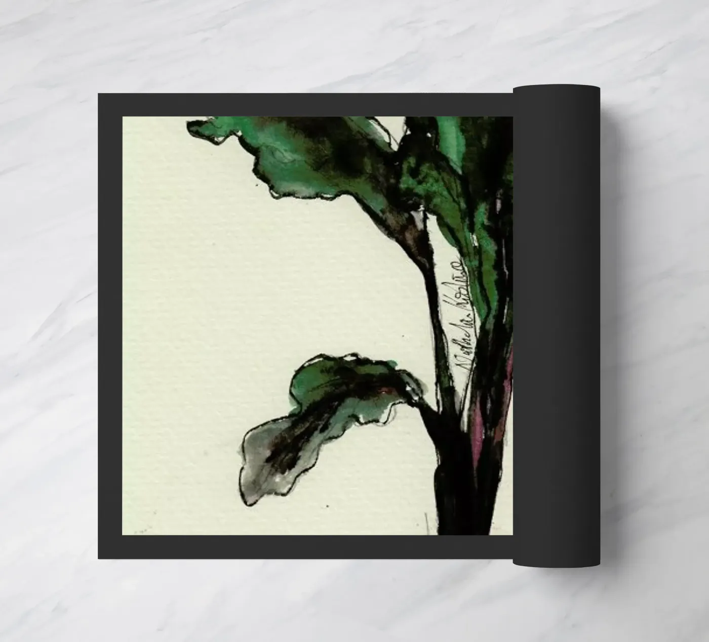 Beetroot zerbino da Nathys_illustration