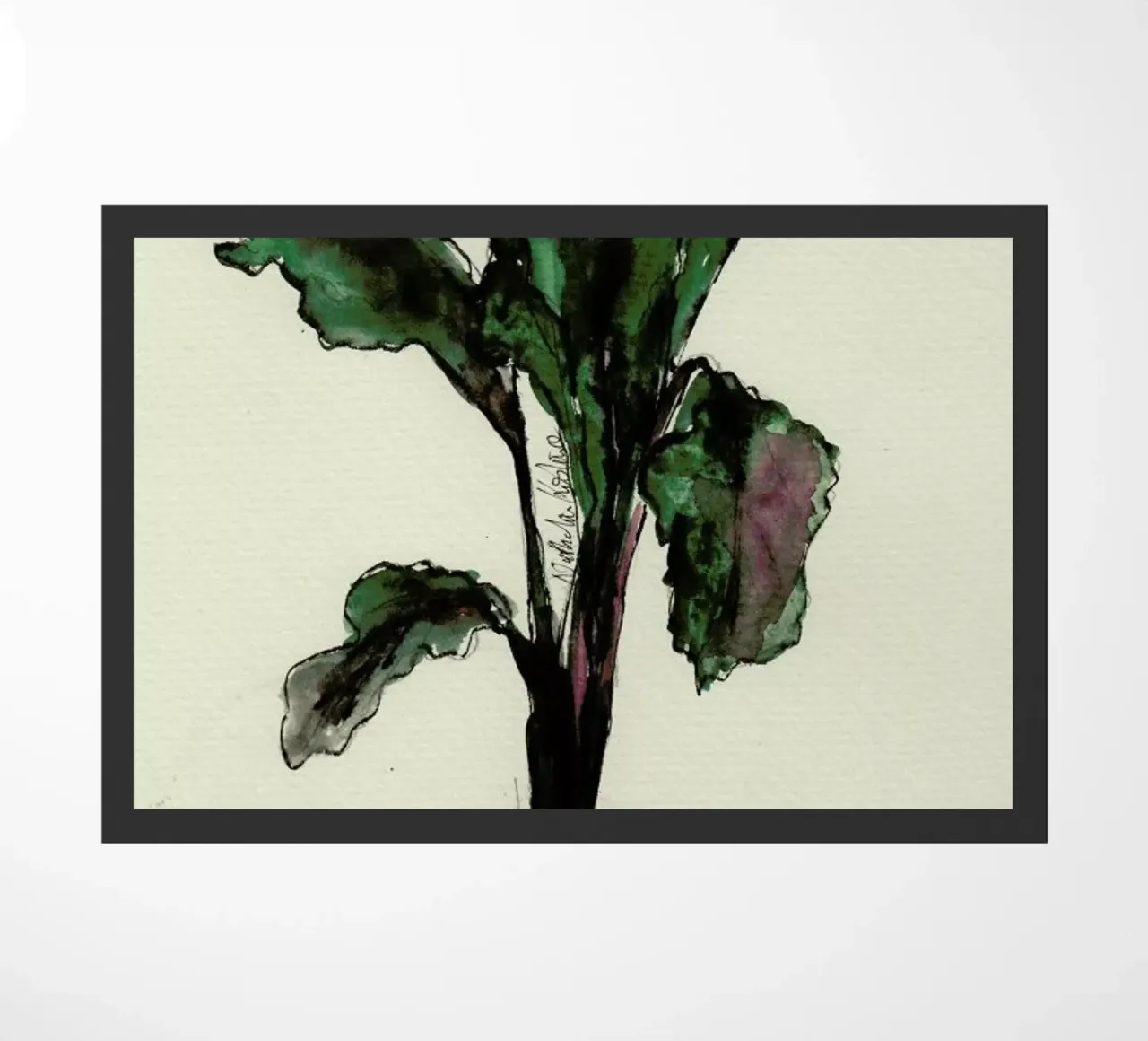 Beetroot zerbino da Nathys_illustration