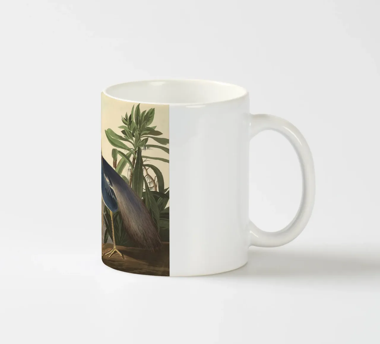 John James Audubon - Airone della Louisiana tazza in ceramica da Timeless Artworks