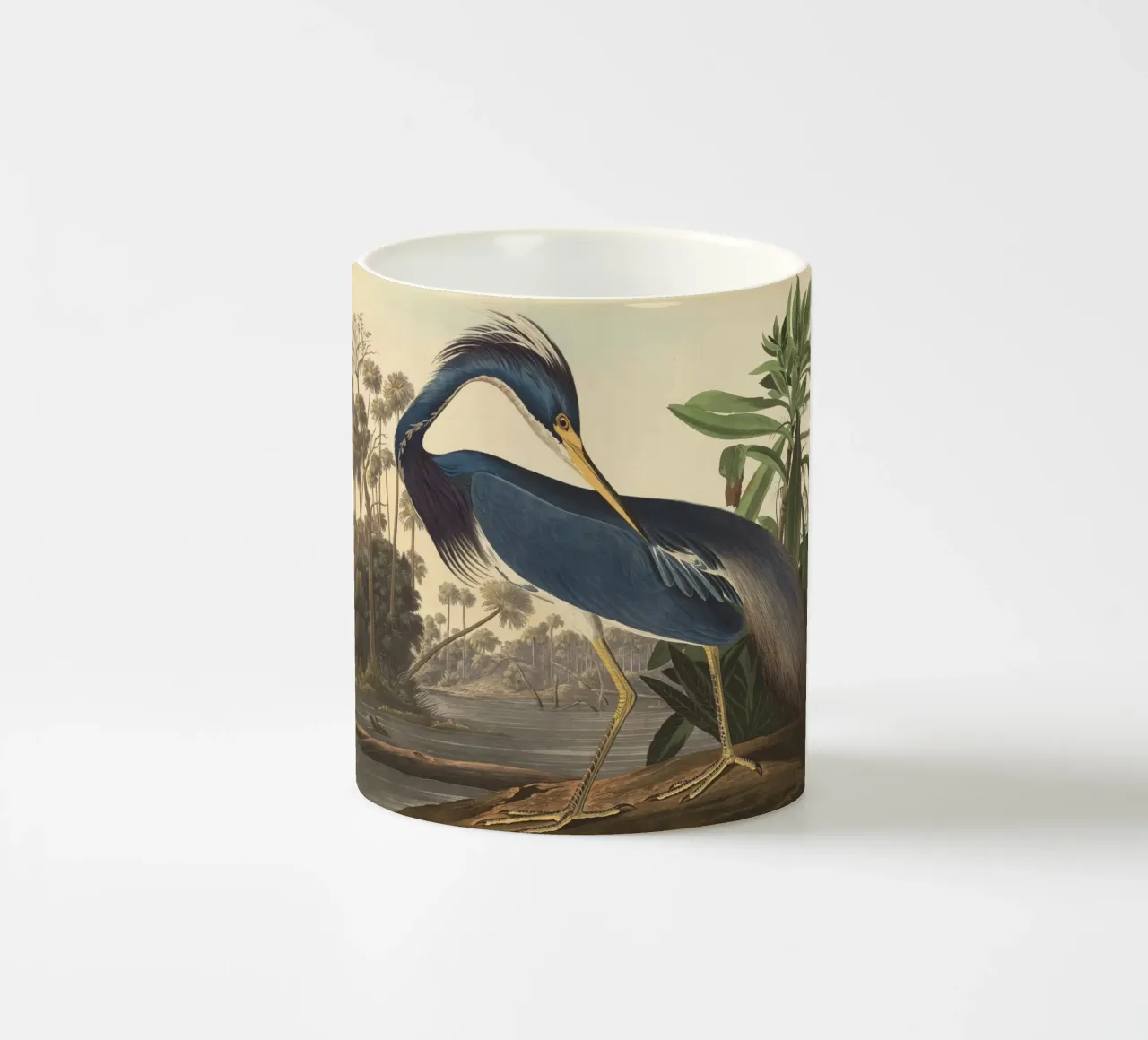 John James Audubon - Airone della Louisiana tazza in ceramica da Timeless Artworks