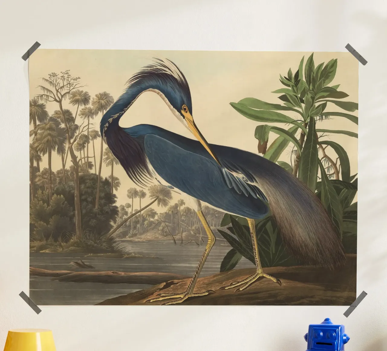 John James Audubon - Airone della Louisiana poster con telaio in alluminio da Timeless Artworks