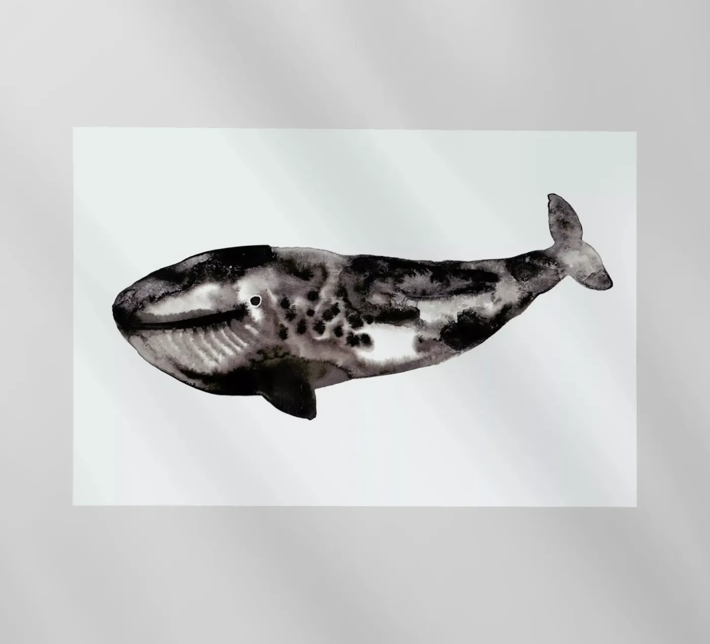 Whale pellicola backlit da Farina Kuklinski