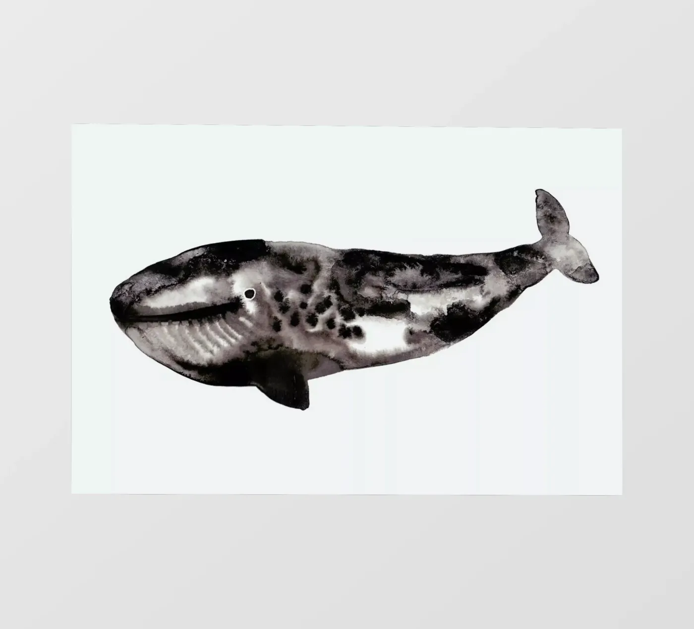 Whale pellicola backlit da Farina Kuklinski