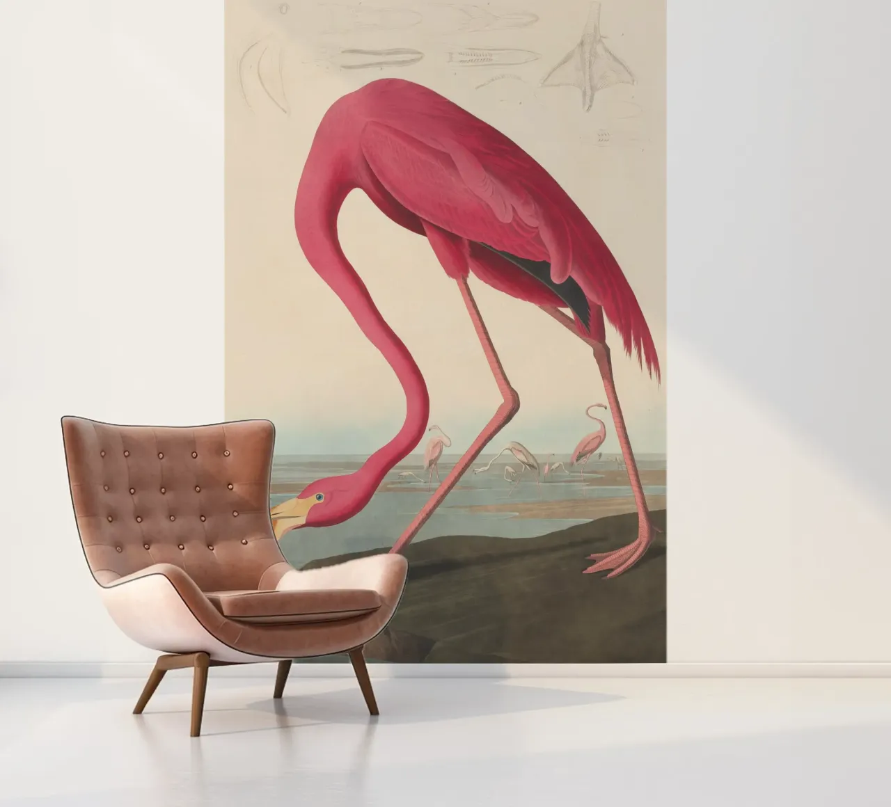 John James Audubon - Amerikaanse flamingo fotobehang van Timeless Artworks