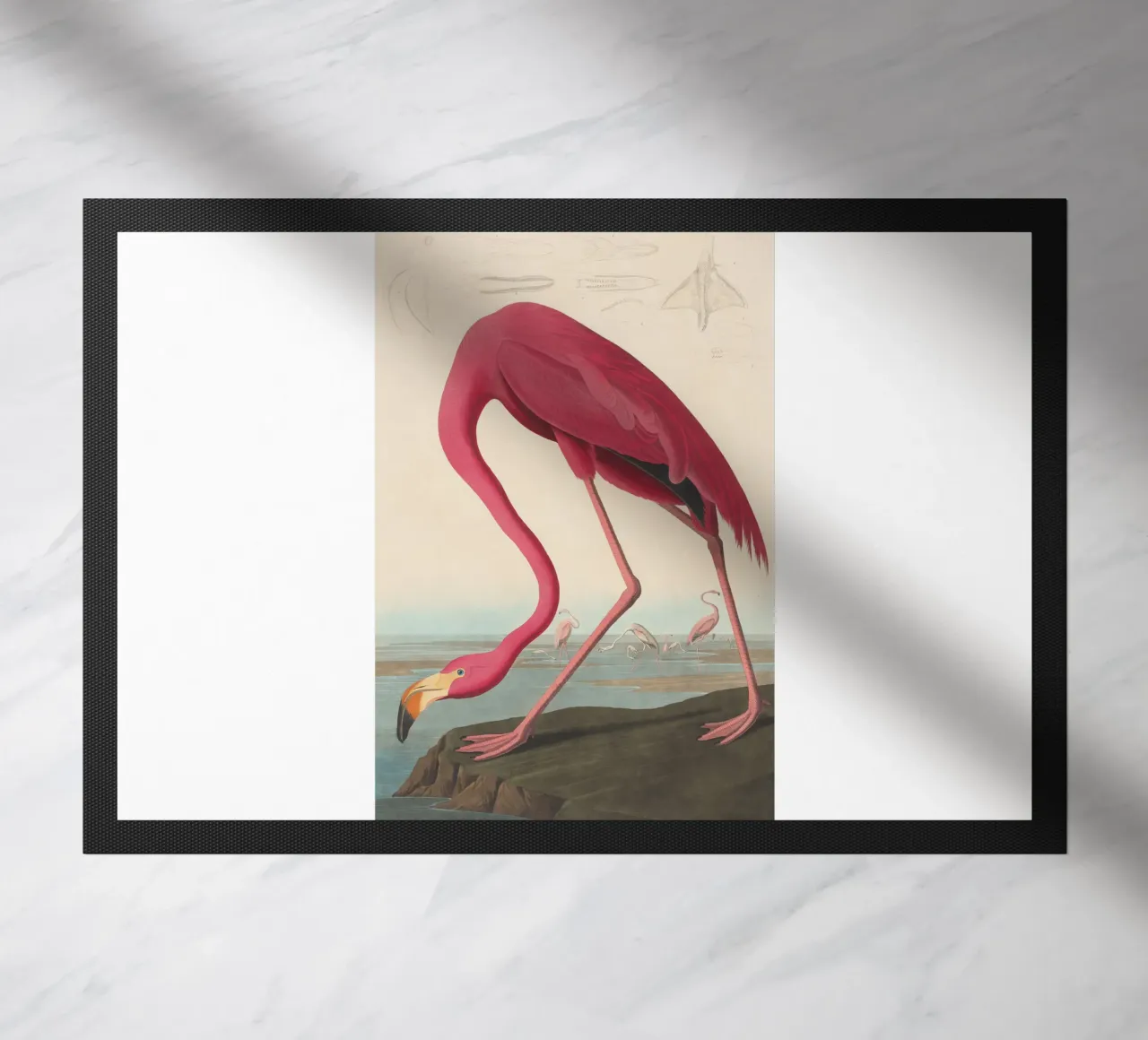 John James Audubon - El flamenco americano felpudo de Timeless Artworks