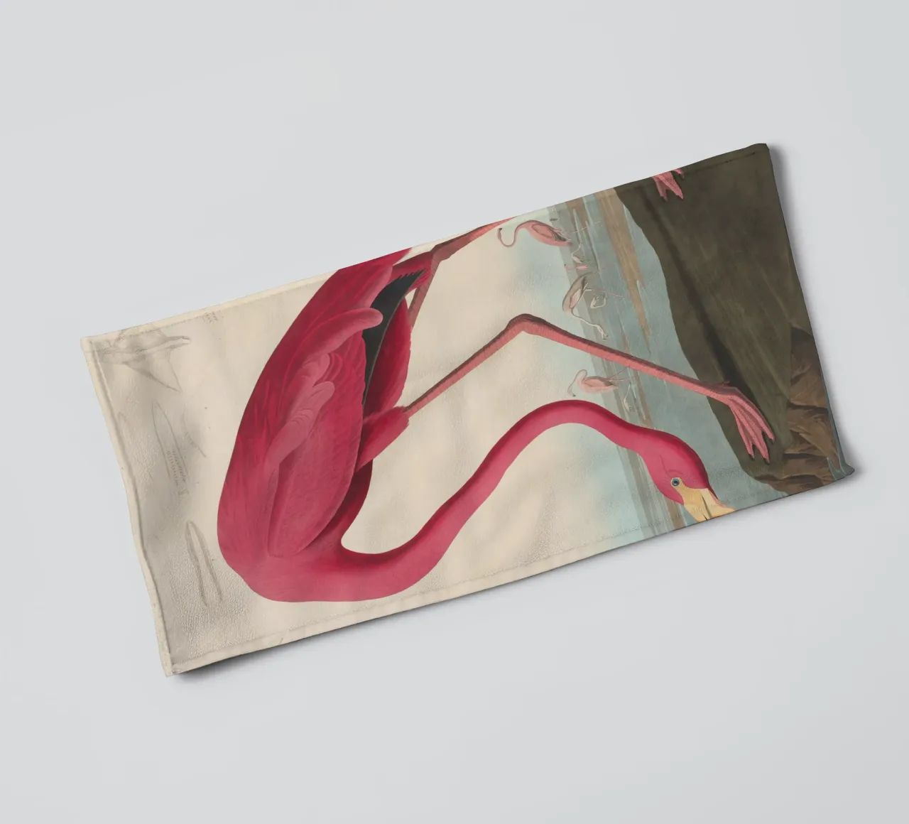 John James Audubon - Amerikaanse flamingo badhanddoek van Timeless Artworks