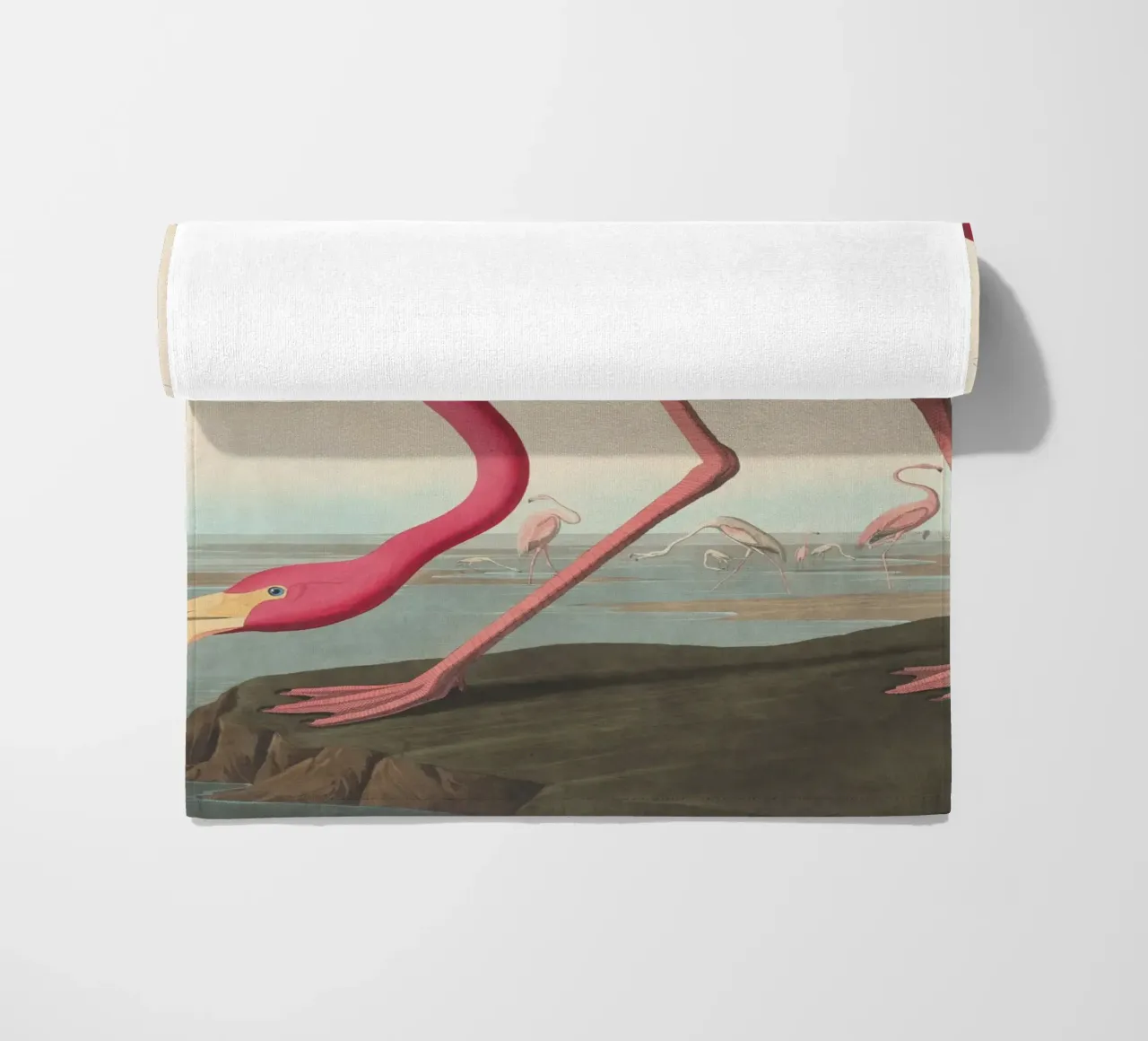 John James Audubon - American Flamingo beach towel by Timeless Artworks