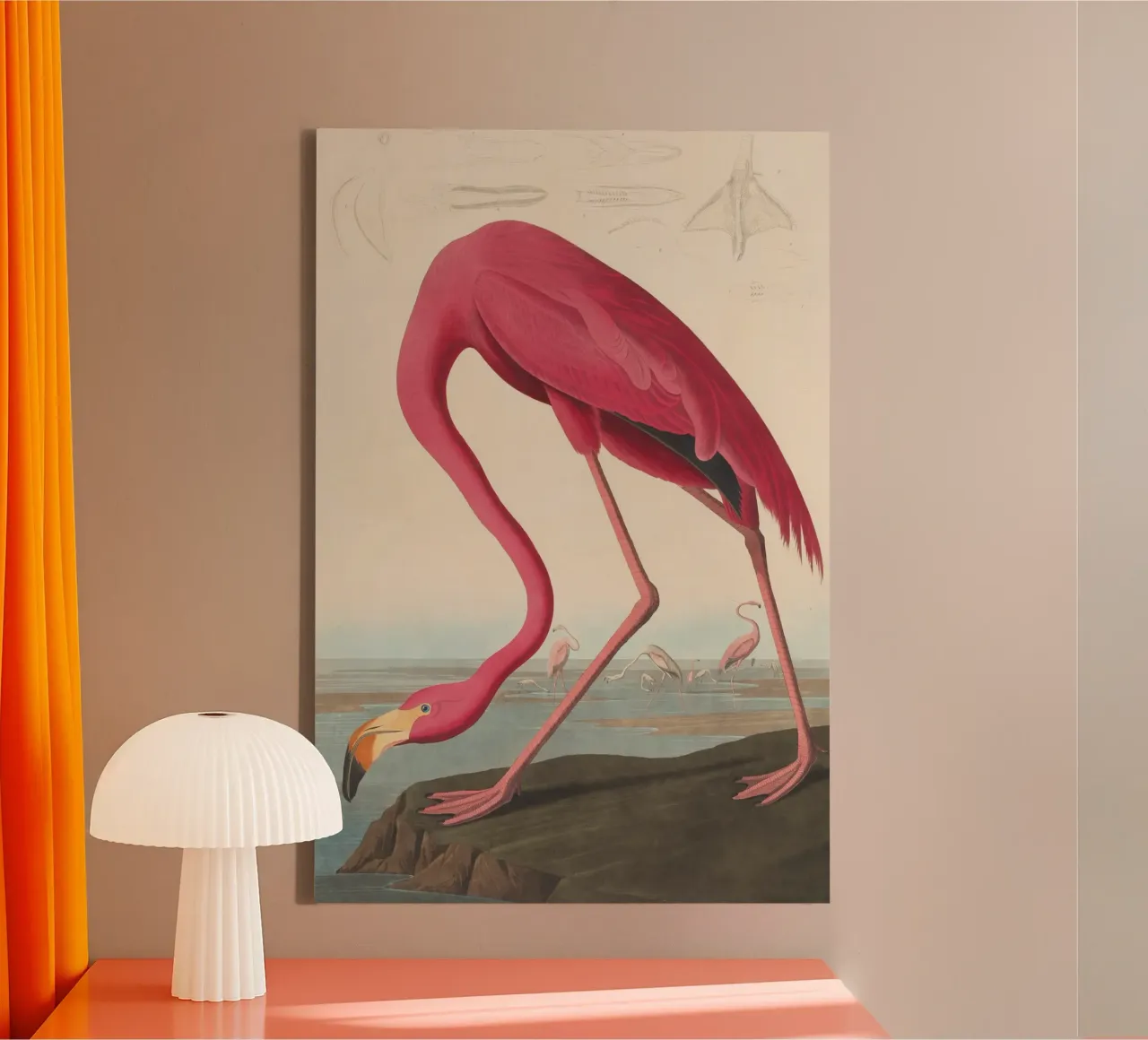 John James Audubon - Amerikaanse flamingo canvas van Timeless Artworks