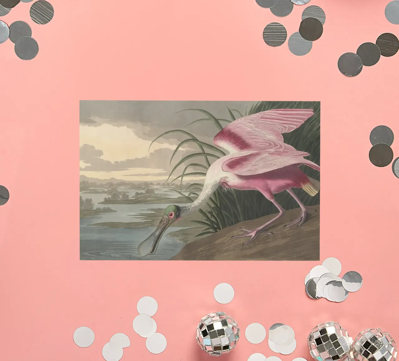 John James Audubo - Roseate Spoonbill sticker by Timeless Artworks