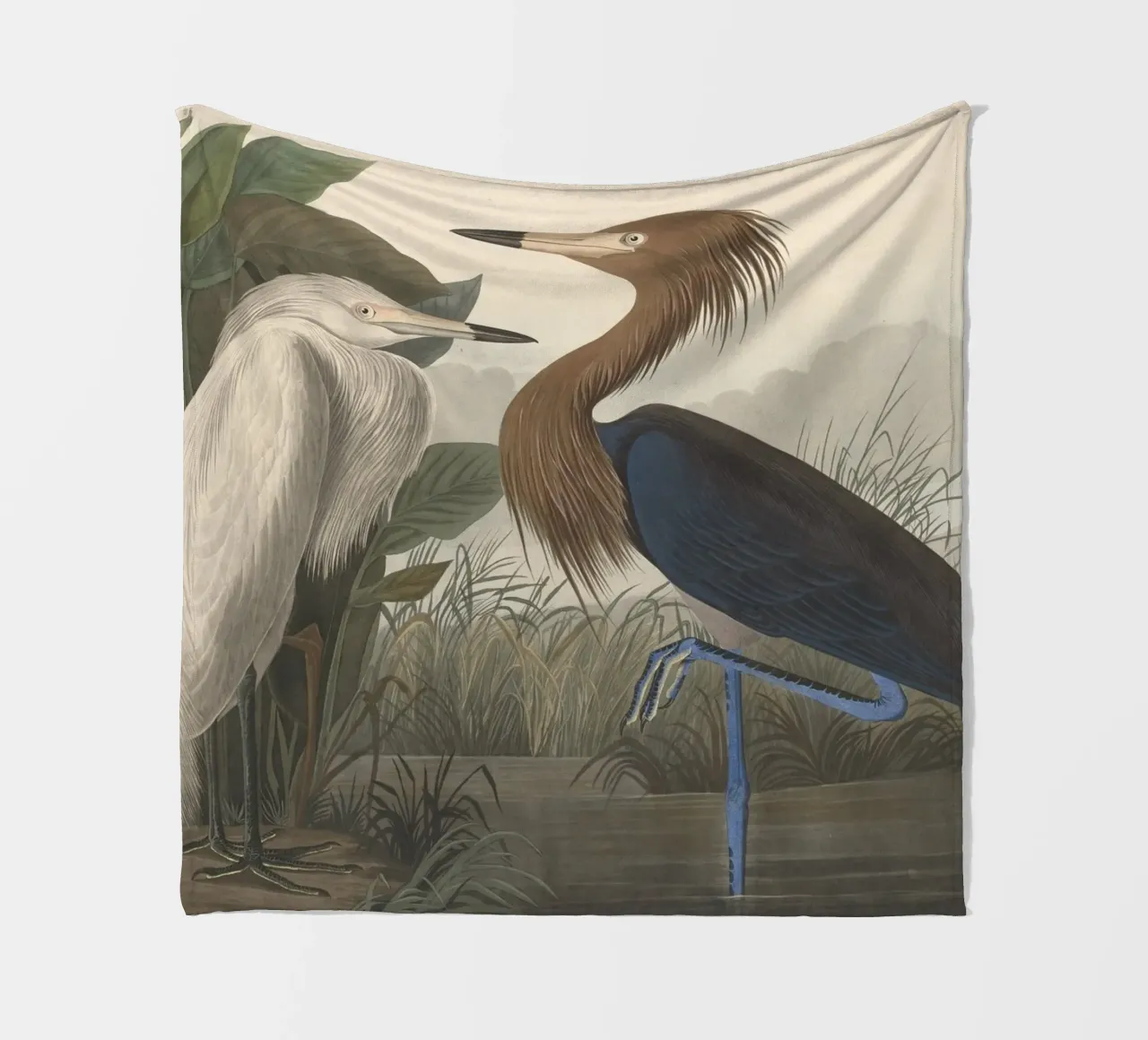 John James Audubon - Airone rosso coperta in pile da Timeless Artworks