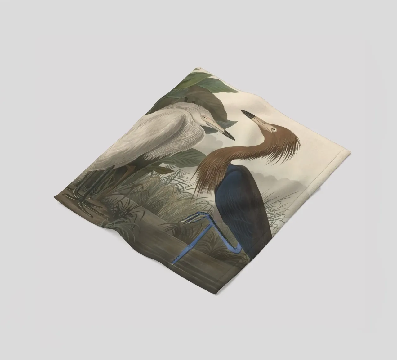 John James Audubon - Airone rosso coperta in pile da Timeless Artworks