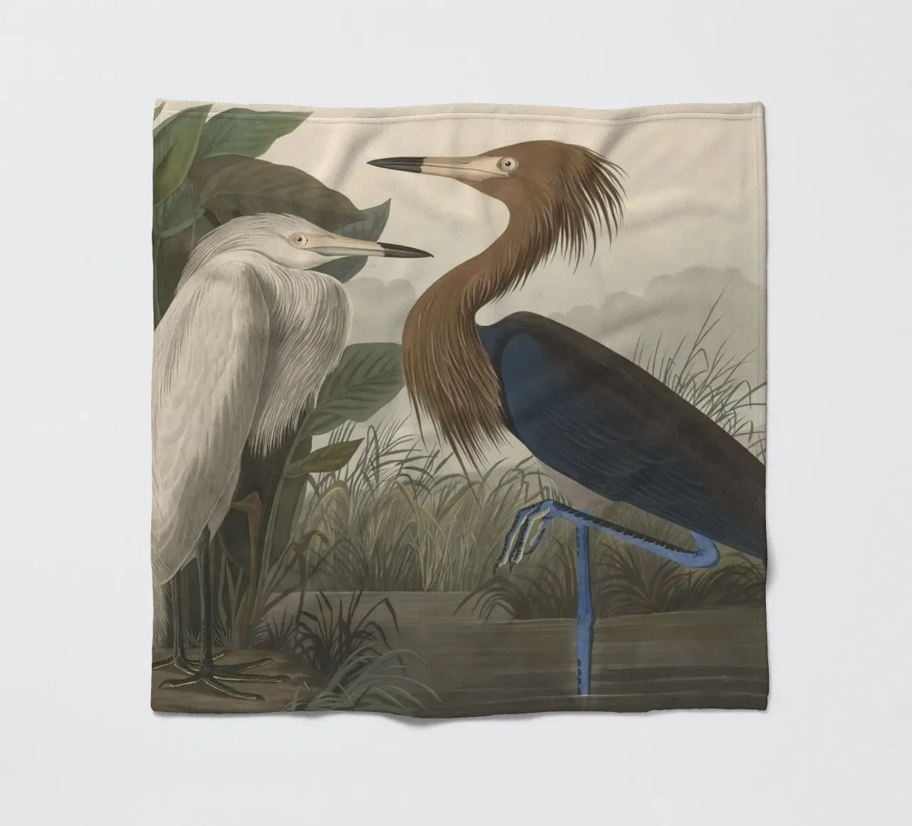 John James Audubon - Airone rosso coperta in pile da Timeless Artworks