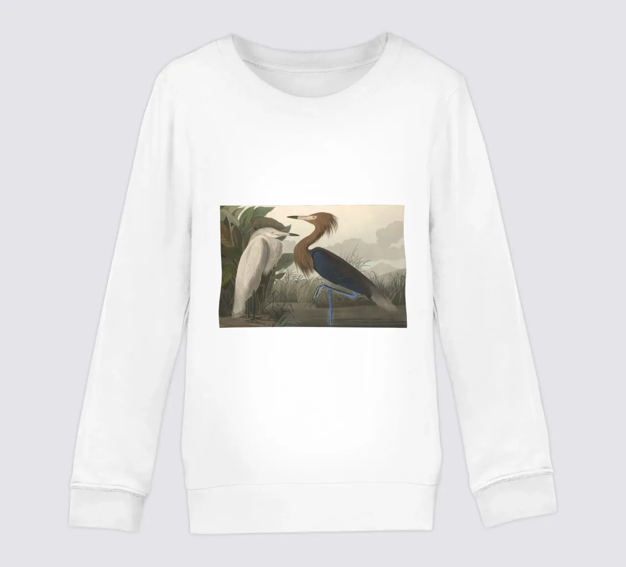John James Audubon - Airone rosso felpa bambino da Timeless Artworks