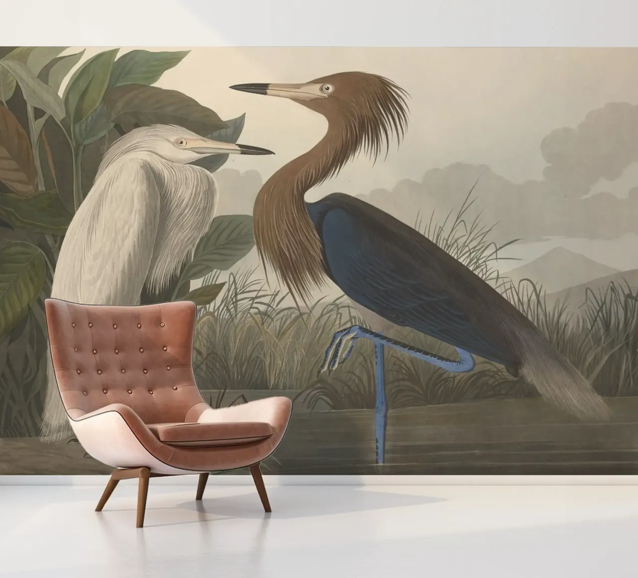 John James Audubon - Purple Heron photo wallpaper by Timeless Artworks