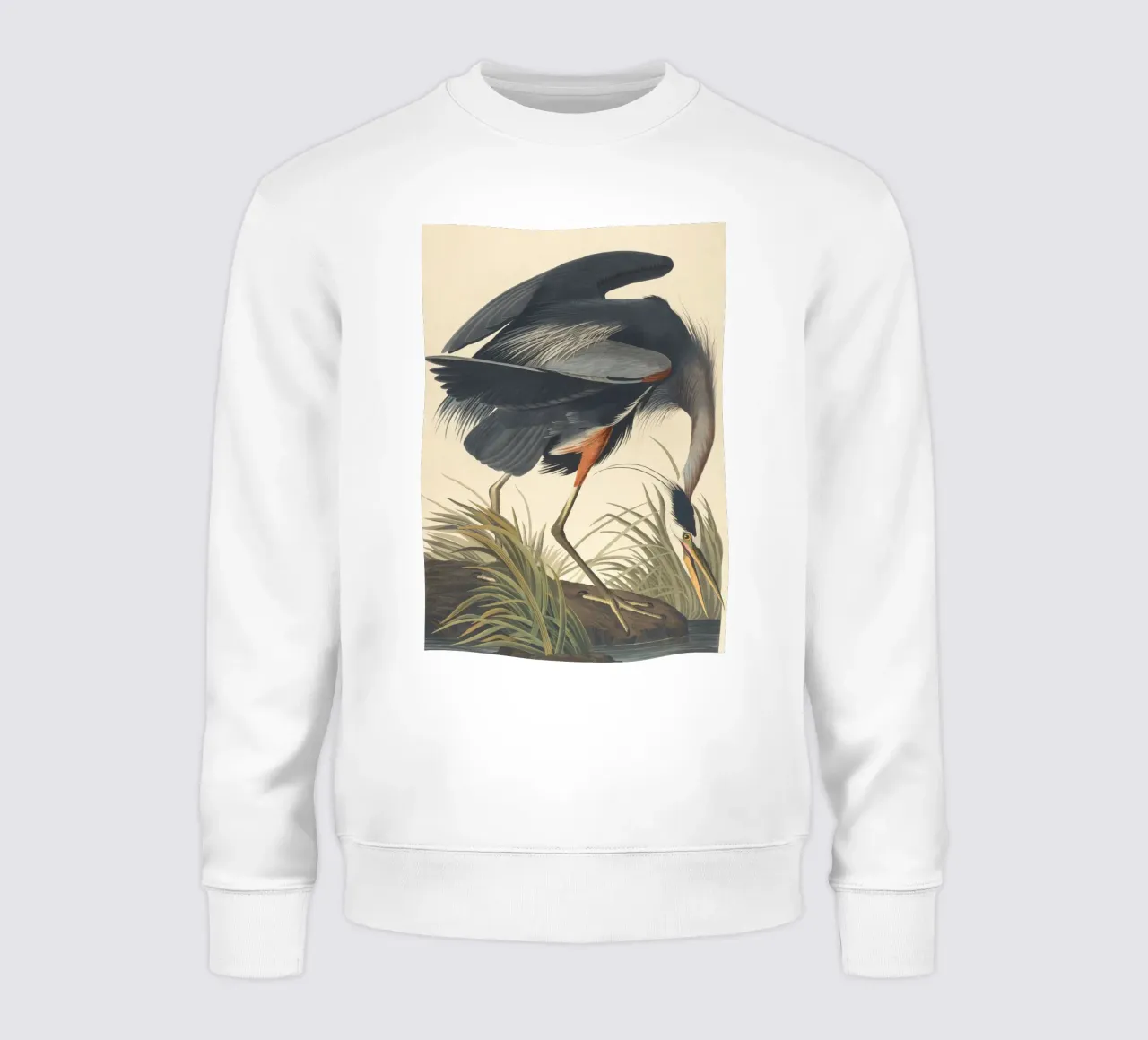 John James Audubon - Airone azzurro maggiore felpa da Timeless Artworks