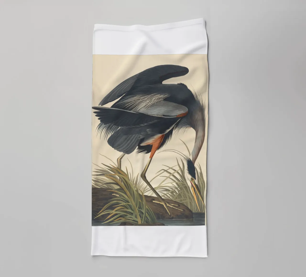 John James Audubon - Airone azzurro maggiore asciugamano da bagno da Timeless Artworks