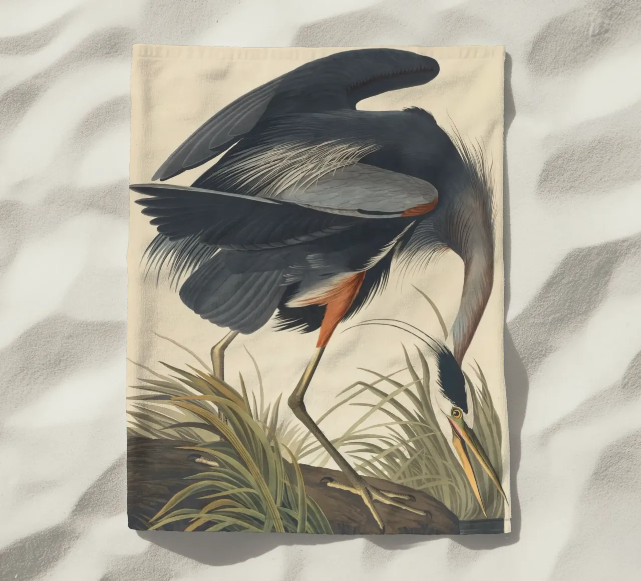 John James Audubon - Airone azzurro maggiore telo mare da Timeless Artworks