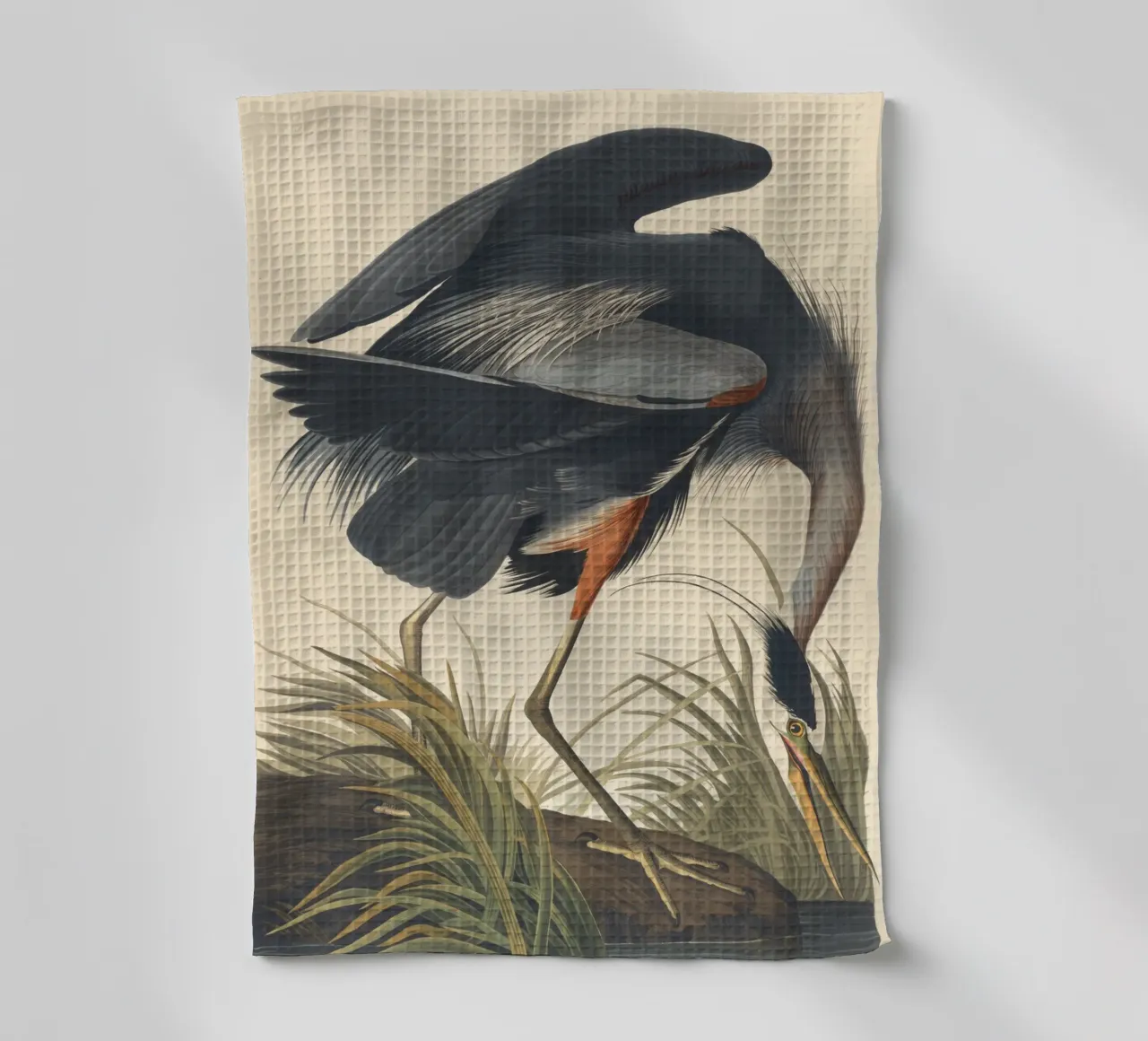 John James Audubon - Airone azzurro maggiore canovaccio da cucina da Timeless Artworks