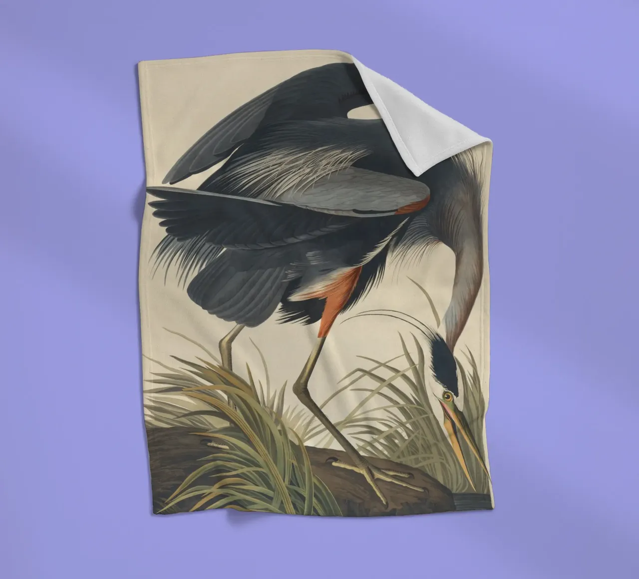 John James Audubon - Airone azzurro maggiore coperta in pile da Timeless Artworks