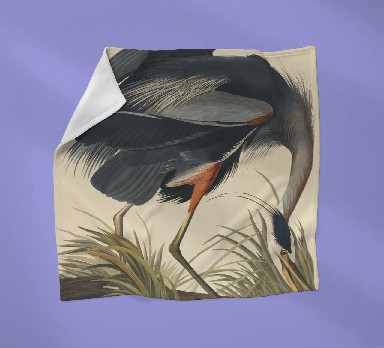 John James Audubon - Airone azzurro maggiore coperta in pile da Timeless Artworks