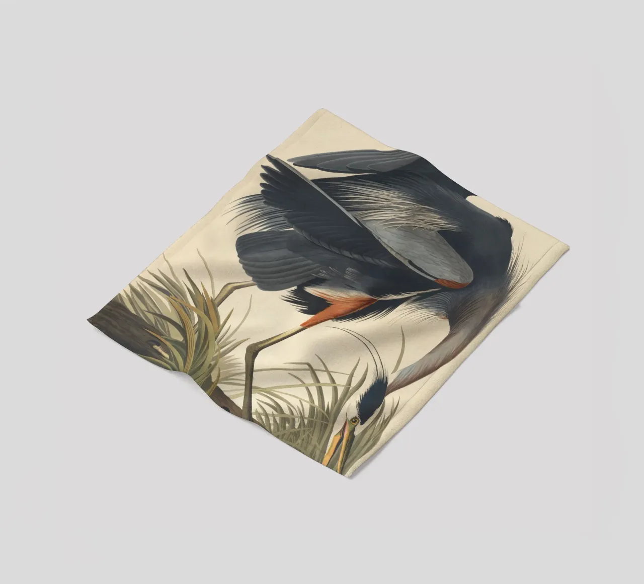 John James Audubon - Airone azzurro maggiore coperta in pile da Timeless Artworks
