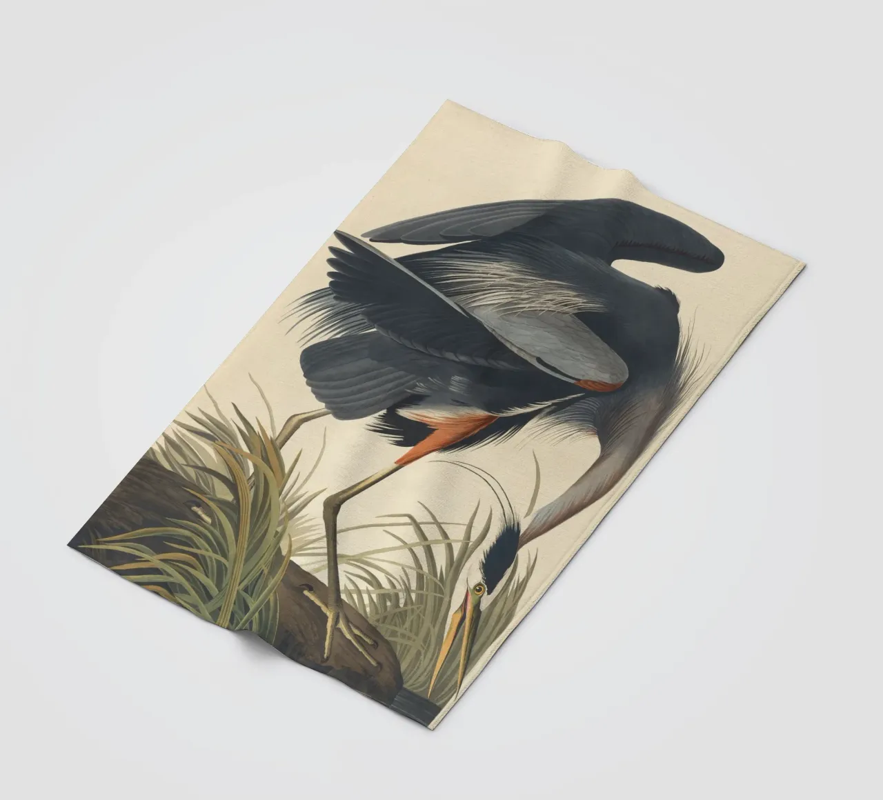 John James Audubon - Airone azzurro maggiore coperta in pile da Timeless Artworks