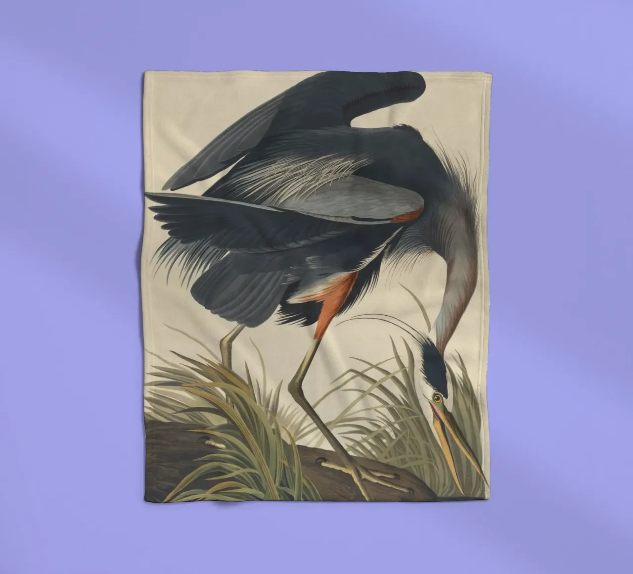 John James Audubon - Airone azzurro maggiore coperta in pile da Timeless Artworks