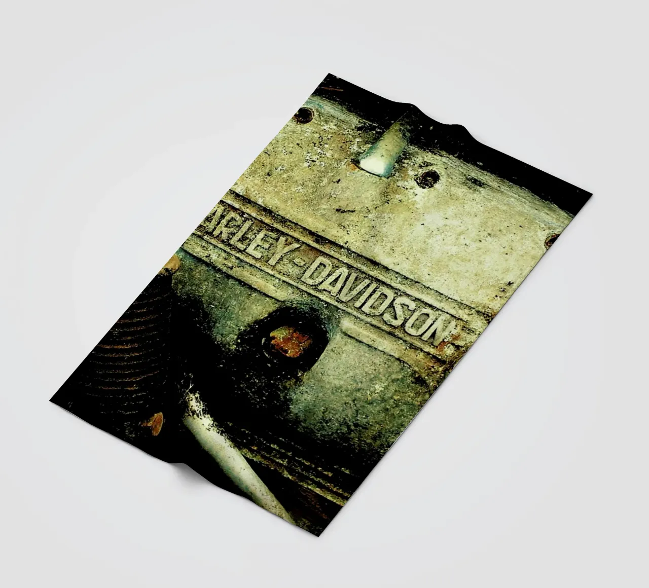 Harley coperta in pile da Robin Delean
