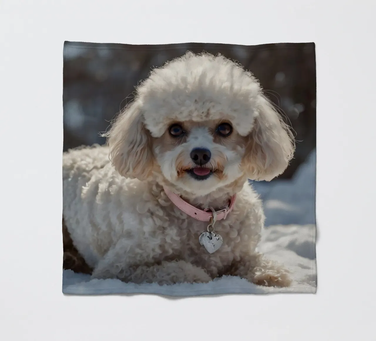 Un cane giocherellone si gode una soleggiata giornata invernale coperta in pile da DesignDoodle