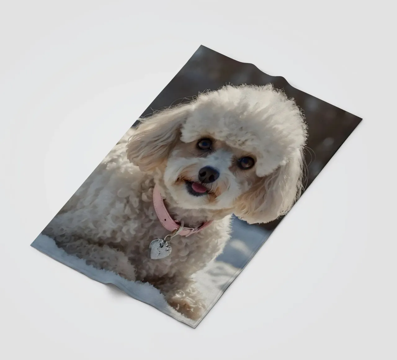Un cane giocherellone si gode una soleggiata giornata invernale coperta in pile da DesignDoodle