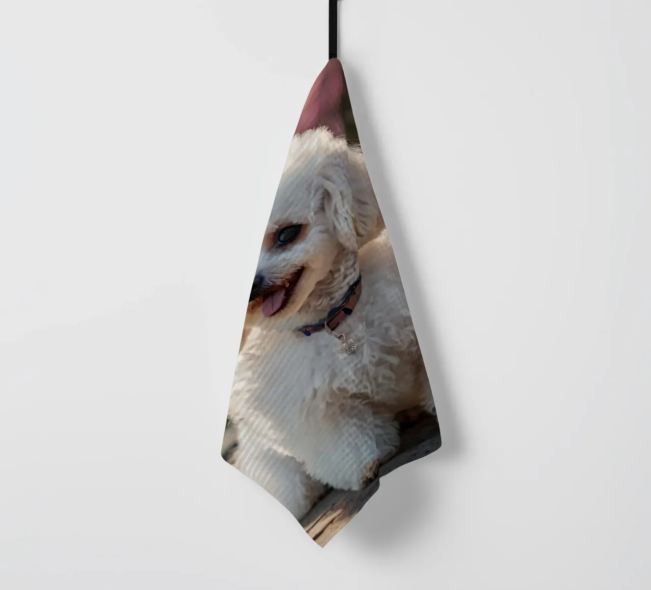 Un cane piccolo e soffice con un manto marrone chiaro e un collare rosa. canovaccio da cucina da DesignDoodle