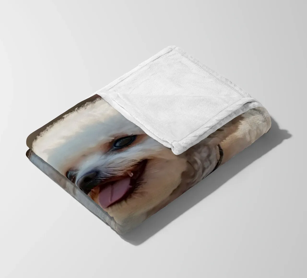 Un cane piccolo e soffice con un manto marrone chiaro e un collare rosa. coperta in pile da DesignDoodle