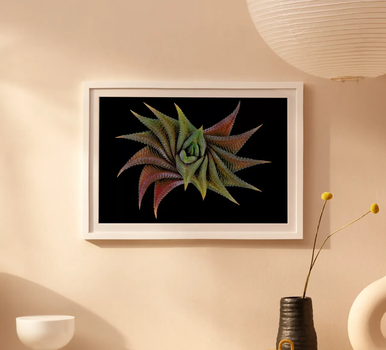 Haworthia Limifolia - Victor Mozqueda poster con telaio in legno da Pictufy