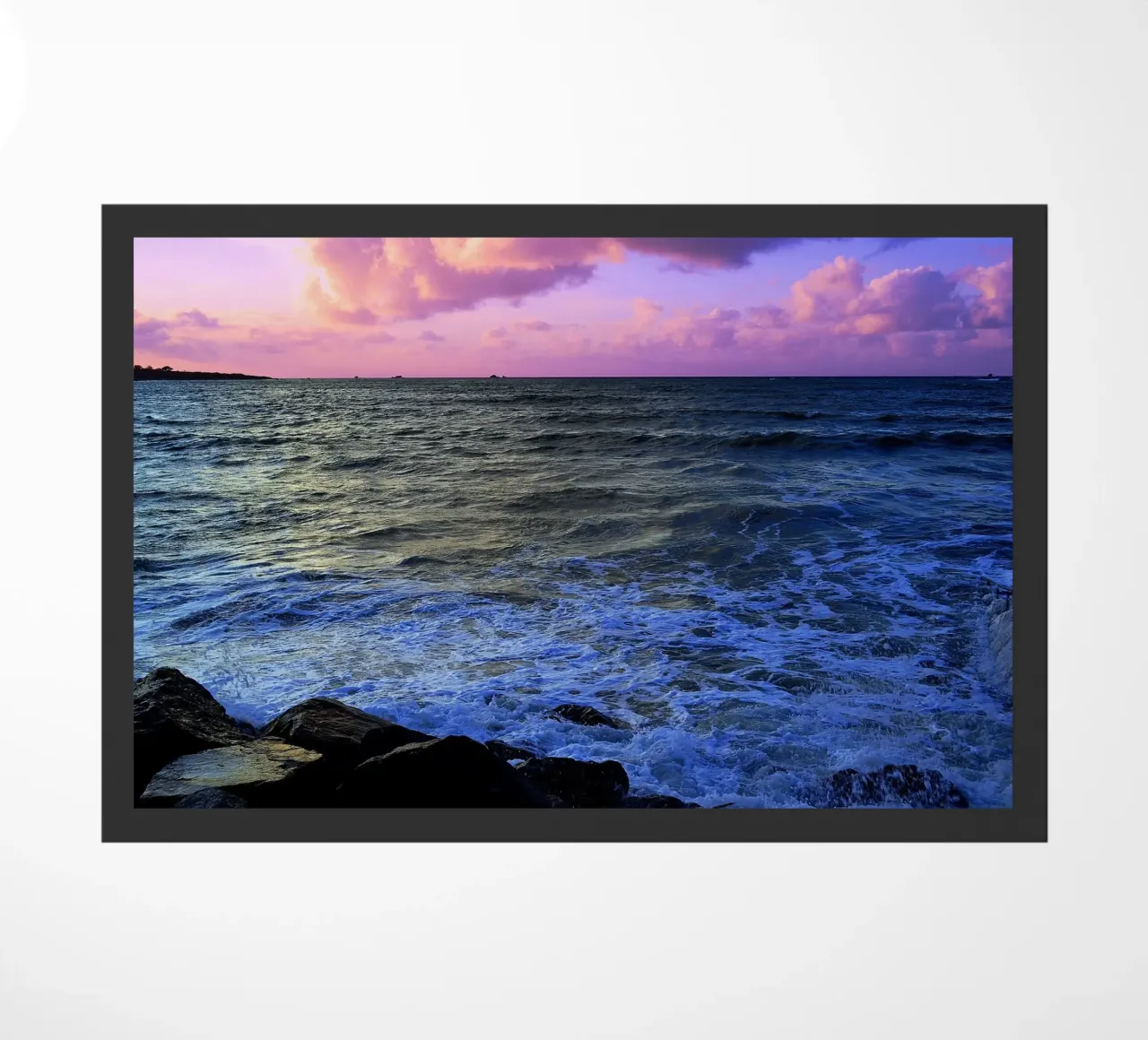 FAA200 zerbino da Thierry vobmann photography