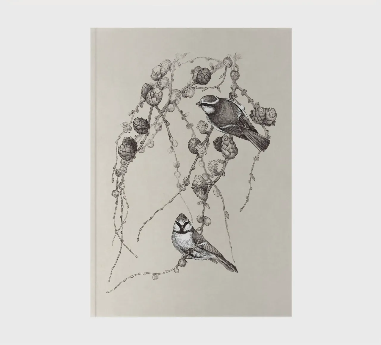 Blue Tit Bird Sketch notebook by apoloprints