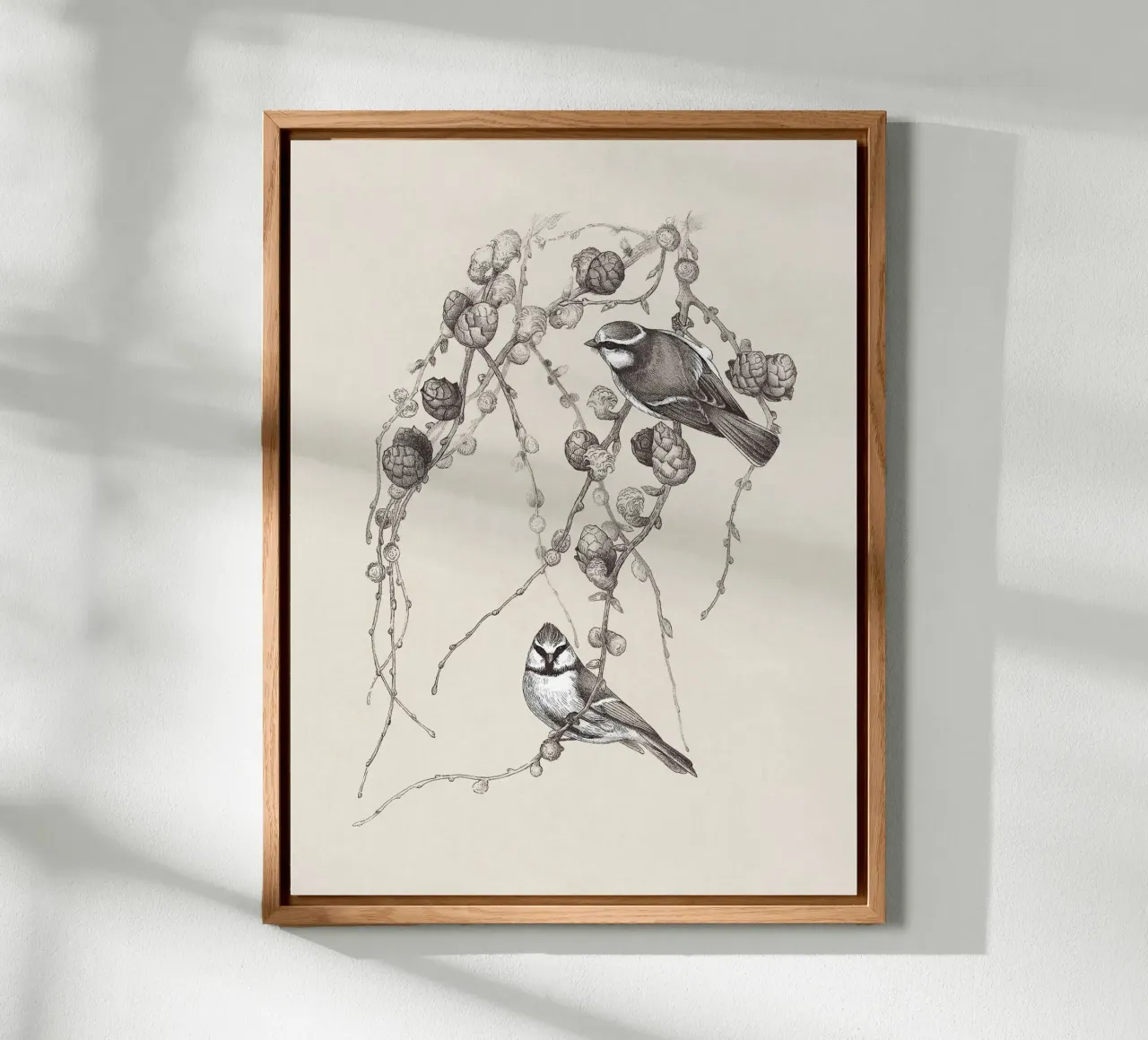 Blue Tit Bird Sketch alluminio dibond da apoloprints