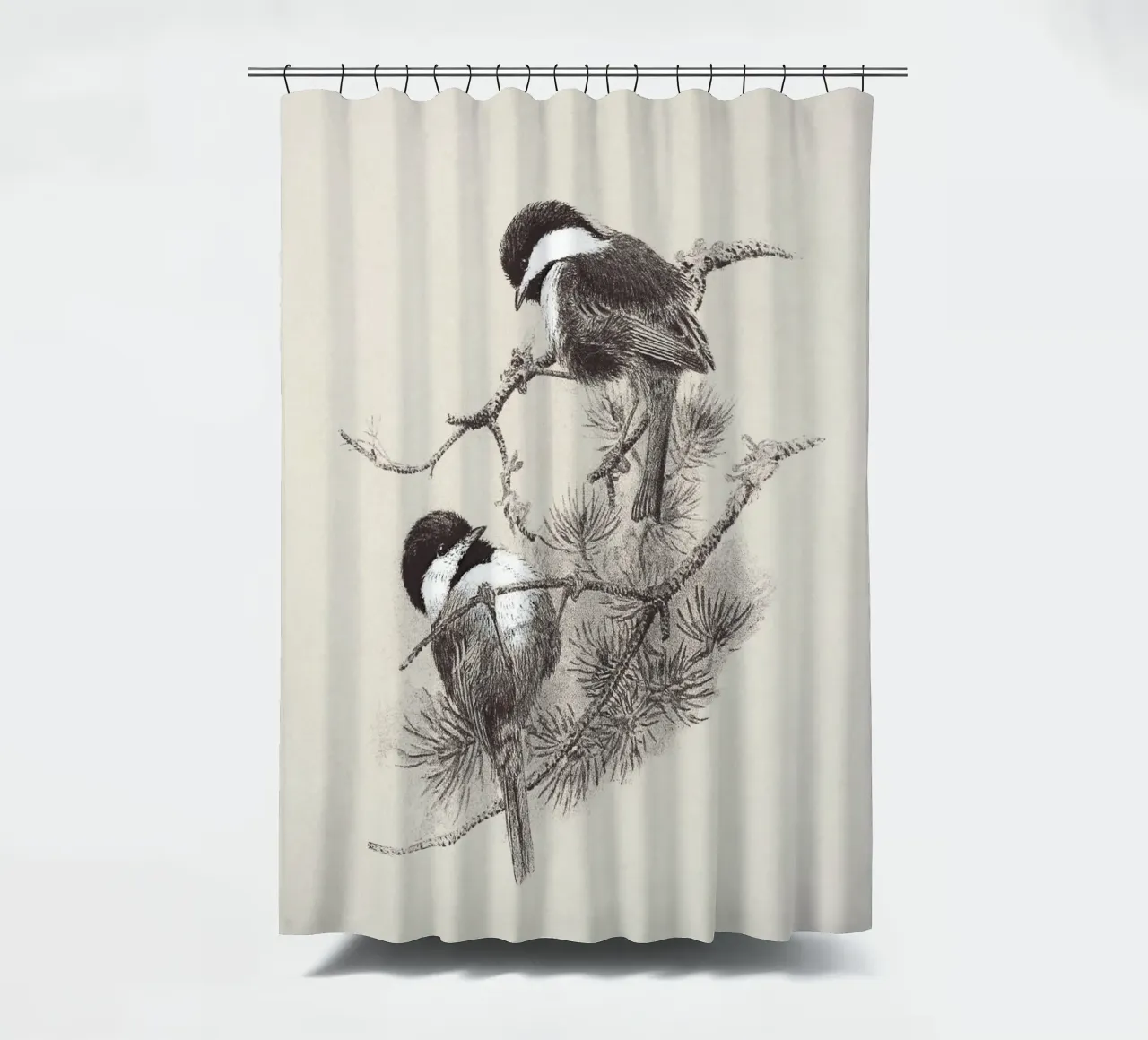Chickadees Sketch tenda da doccia da apoloprints
