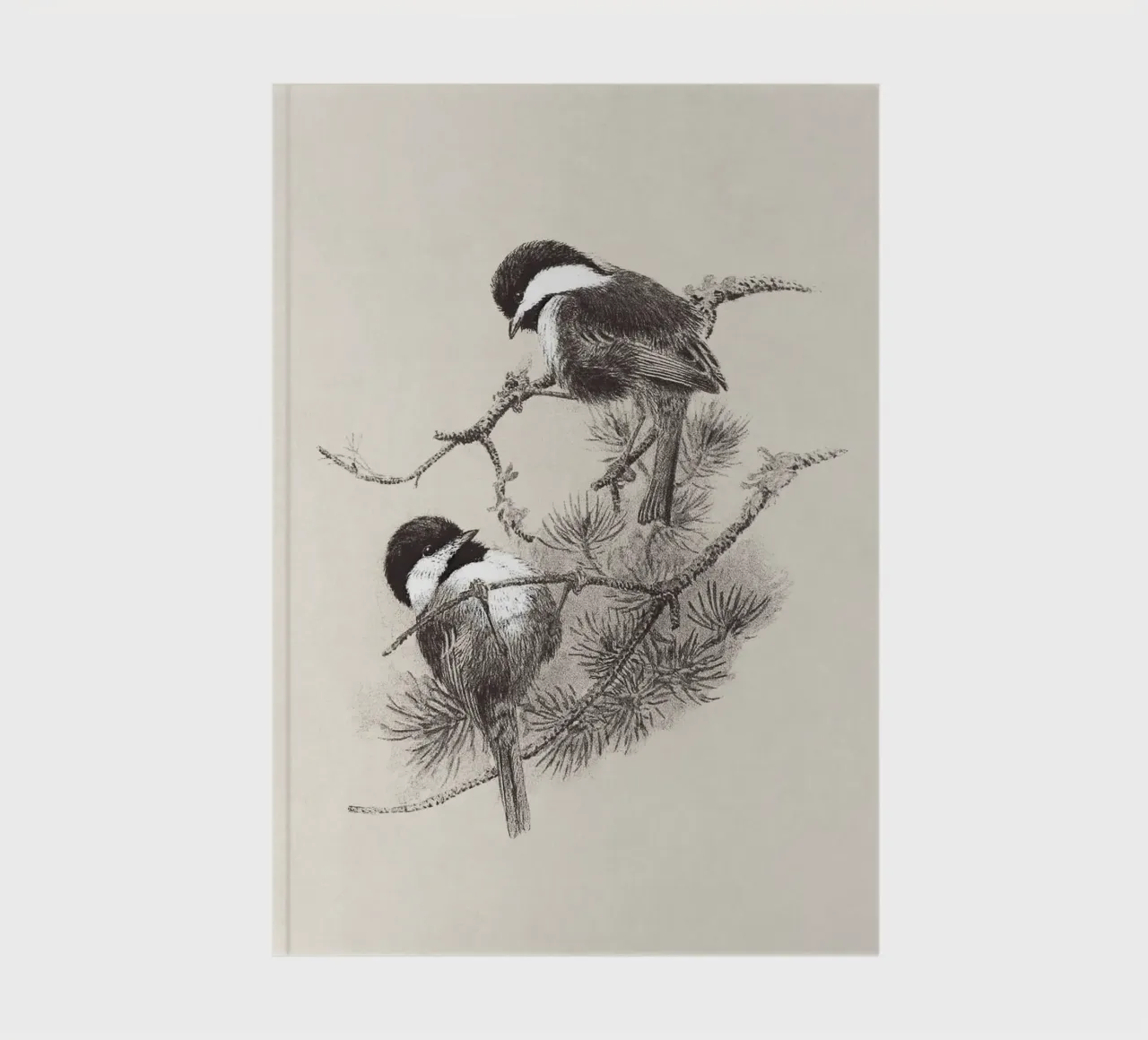 Chickadees Sketch diario da apoloprints