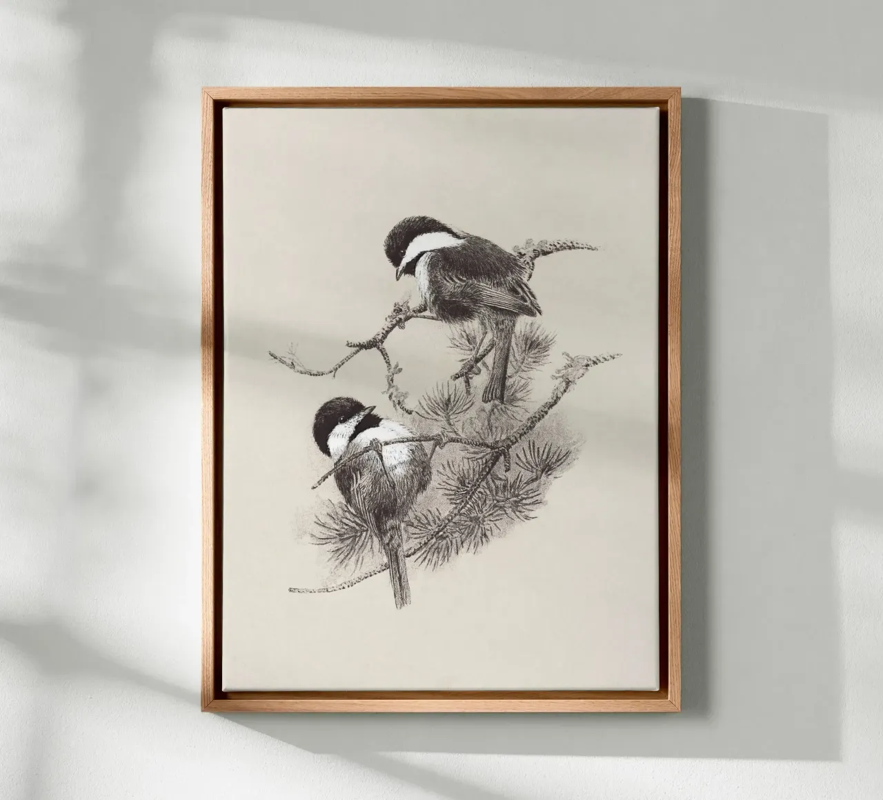 Chickadees Sketch tela con Cornice a cassetta da apoloprints