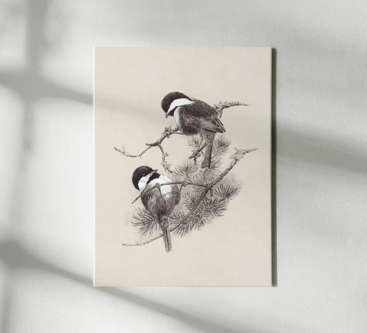 Chickadees Sketch tela con Cornice a cassetta da apoloprints