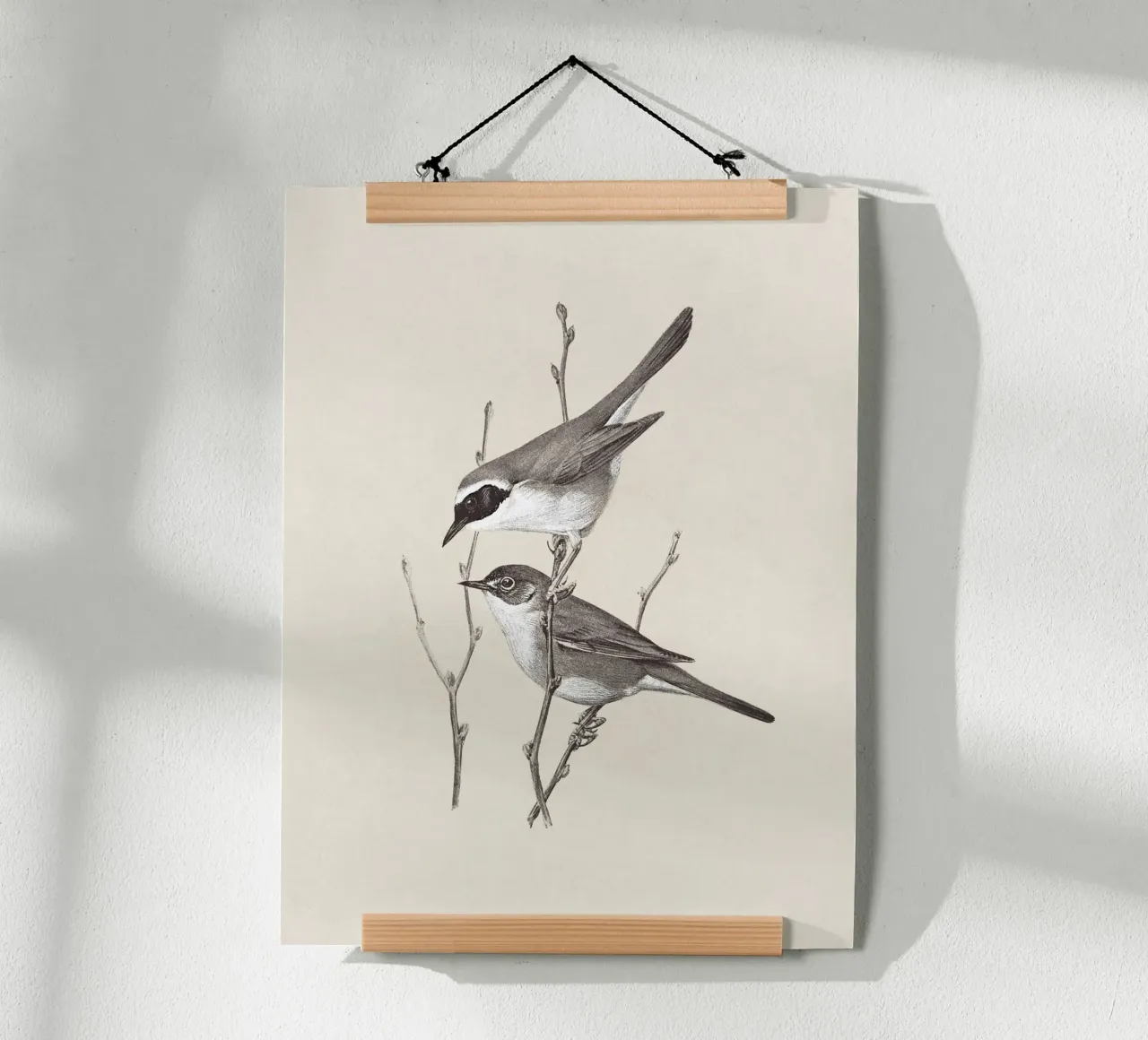 Yellowthroat Bird Sketch poster da apoloprints