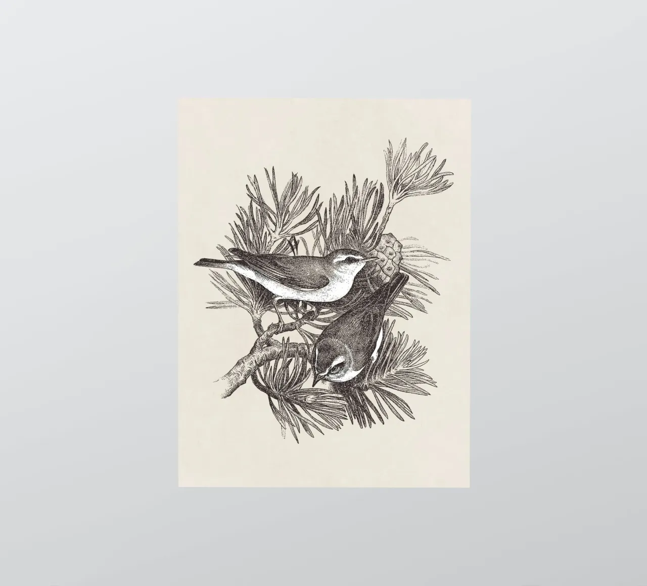 Pine Branch with Birds adesivo da apoloprints