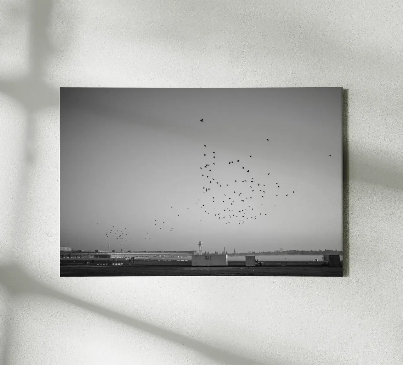 Berlijn, Zwart-wit print - Vogels op Tempelhofer Feld canvas van Bold and Retro