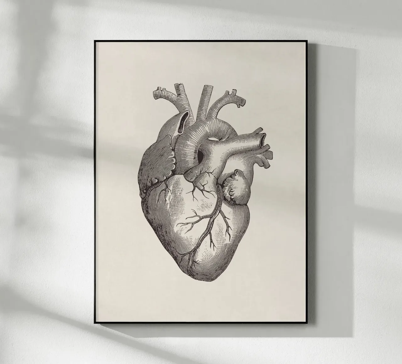 Heart Sketch plexiglass da apoloprints