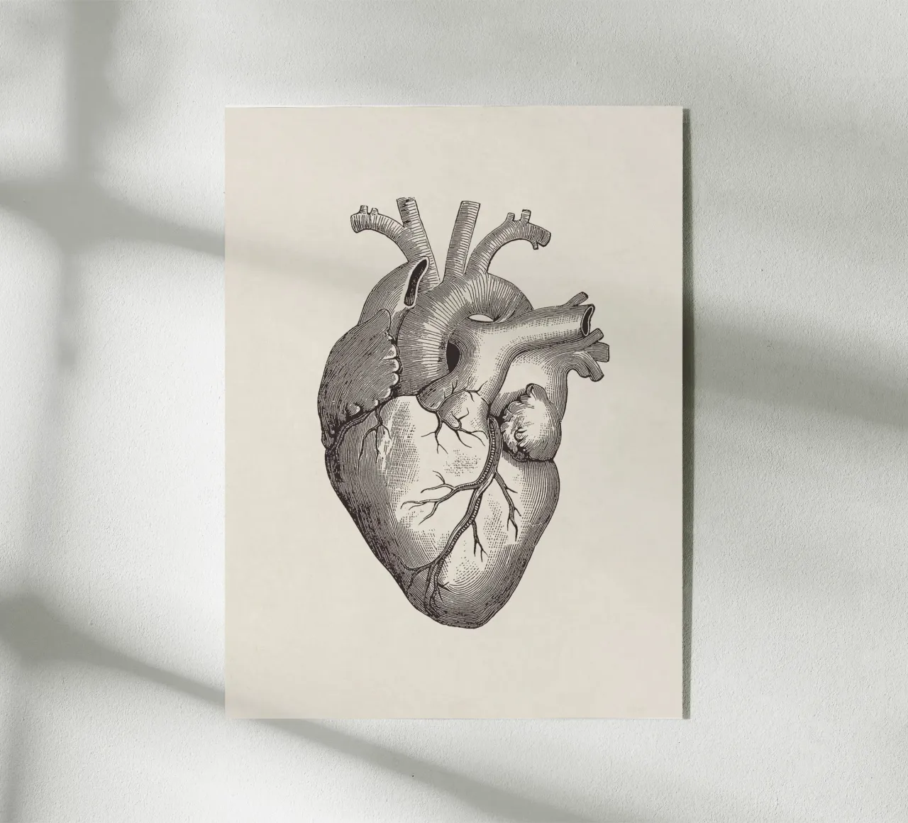 Heart Sketch plexiglass da apoloprints
