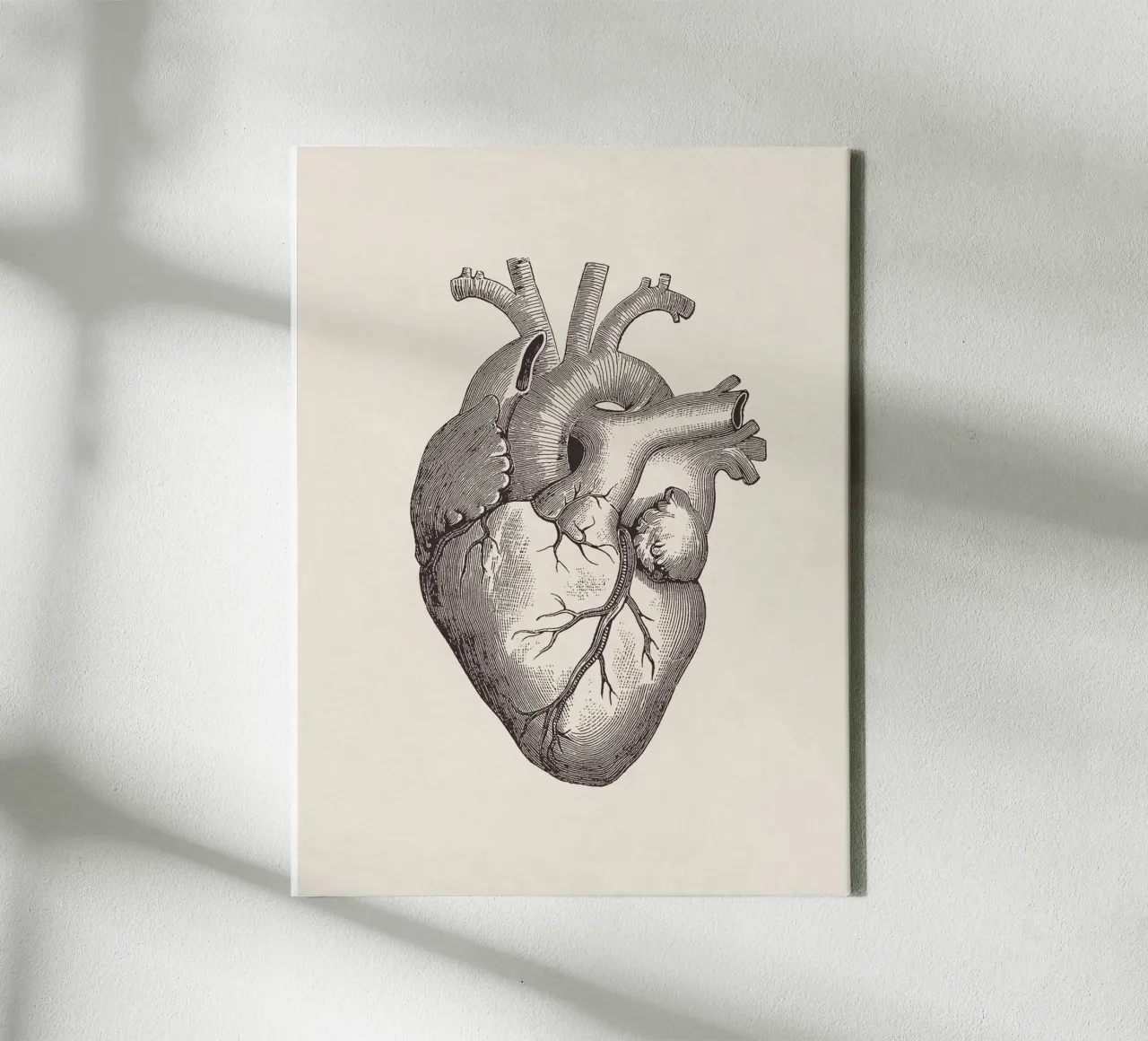 Heart Sketch tela da apoloprints