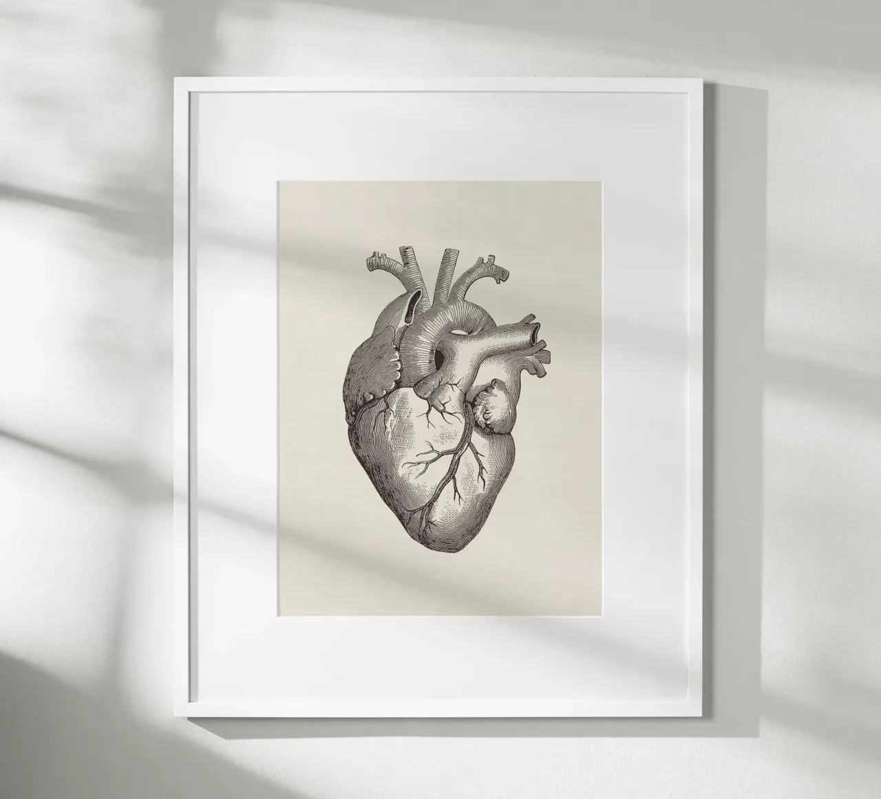 Heart Sketch carta hahnemühle da apoloprints