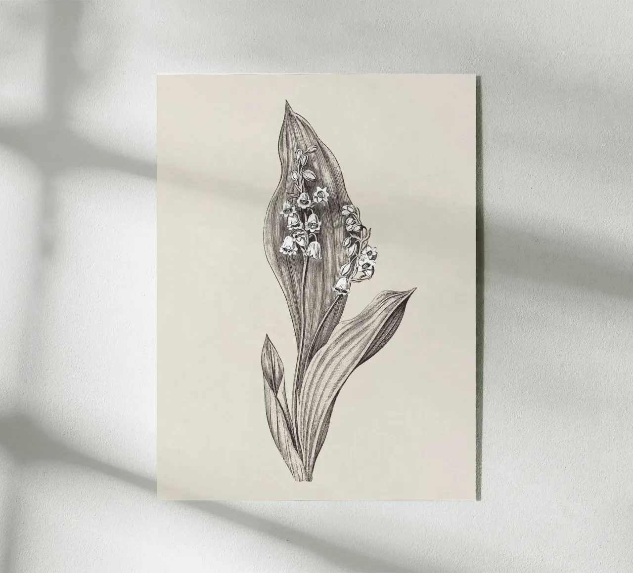 Lily of the valley no. 1 plexiglass da apoloprints